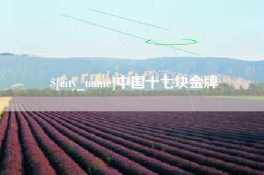 广元中国十七块金牌