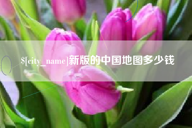 广元新版的中国地图多少钱
