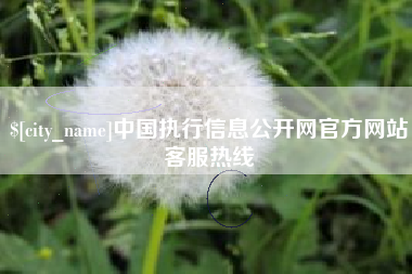 广元中国执行信息公开网官方网站客服热线