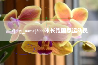 广元5000米长跑国家运动员
