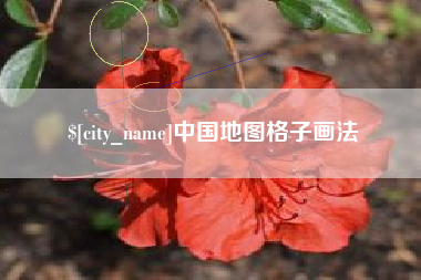 广元中国地图格子画法