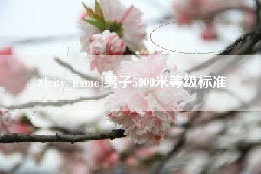 广元男子5000米等级标准