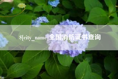 广元全国消防证书查询