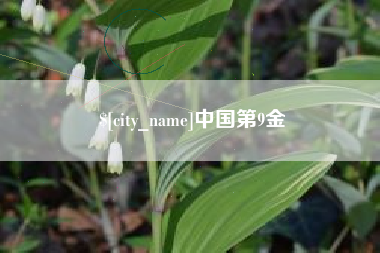 广元中国第9金