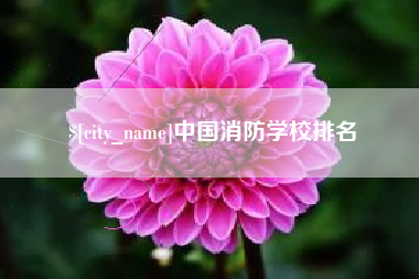 广元中国消防学校排名
