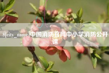 广元中国消防官网中小学消防公开课