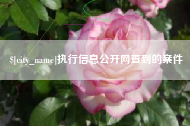 广元执行信息公开网查到的案件
