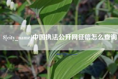 广元中国执法公开网征信怎么查询