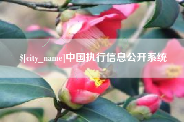 广元中国执行信息公开系统