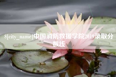 广元中国消防救援学院2019录取分数线