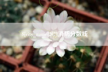 广元2021消防分数线