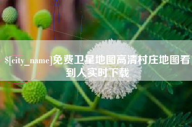 广元免费卫星地图高清村庄地图看到人实时下载
