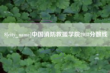 广元中国消防救援学院2018分数线