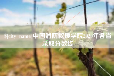 广元中国消防救援学院2020年各省录取分数线