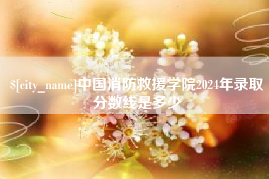 广元中国消防救援学院2024年录取分数线是多少