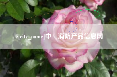 广元中囯消防产品信息网
