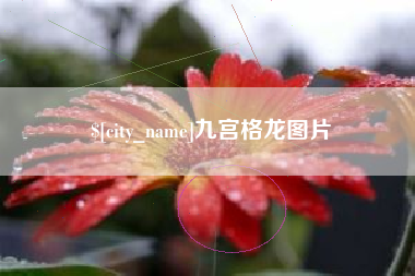 广元九宫格龙图片