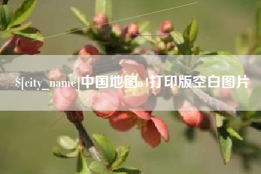 广元中国地图a4打印版空白图片