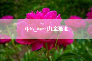 广元九金是谁