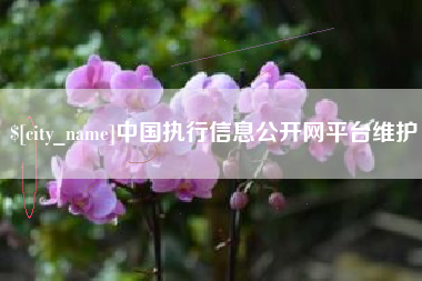广元中国执行信息公开网平台维护