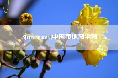 广元中国市地图全图