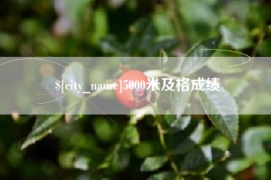 广元5000米及格成绩