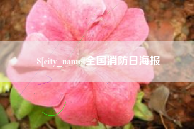 广元全国消防日海报