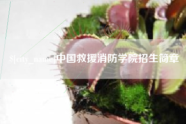 广元中国救援消防学院招生简章