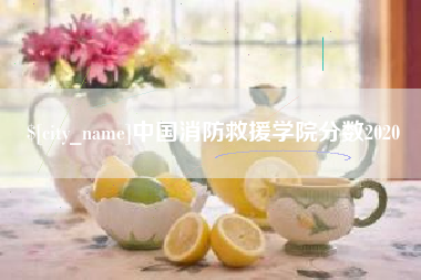 广元中国消防救援学院分数2020