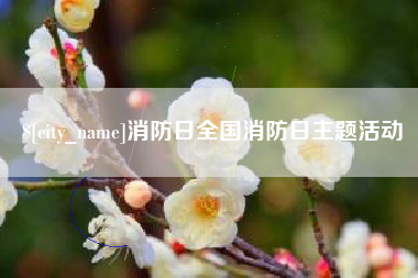 广元消防日全国消防日主题活动