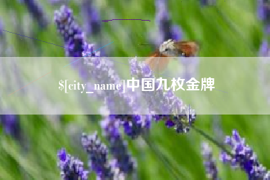广元中国九枚金牌