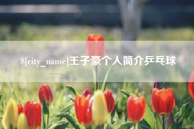 广元王子豪个人简介乒乓球