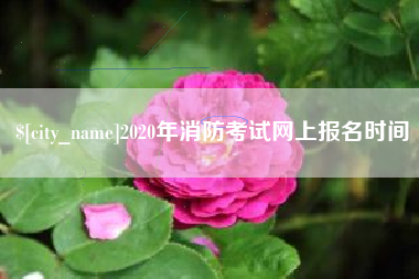 广元2020年消防考试网上报名时间