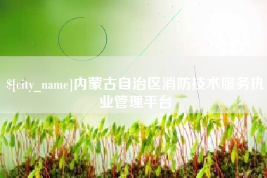 广元内蒙古自治区消防技术服务执业管理平台