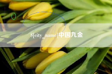 广元中国九金