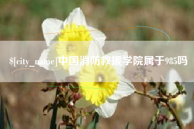 广元中国消防救援学院属于985吗