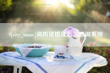 广元消防资格证怎么查询系统