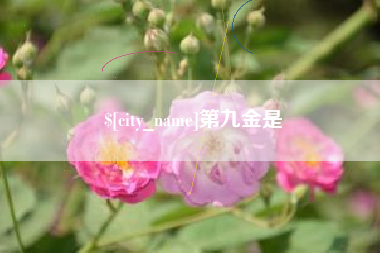 广元第九金是