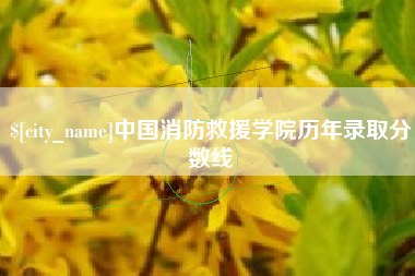 广元中国消防救援学院历年录取分数线