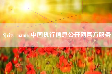 广元中国执行信息公开网官方服务