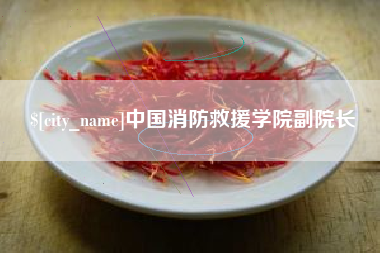 广元中国消防救援学院副院长