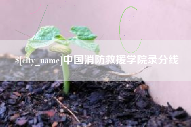 广元中国消防救援学院录分线