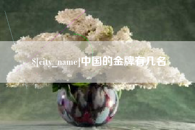 广元中国的金牌有几名