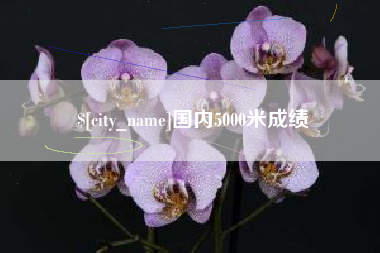 广元国内5000米成绩