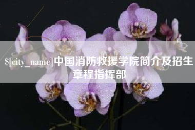 广元中国消防救援学院简介及招生章程指挥部