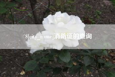 广元消防证的查询