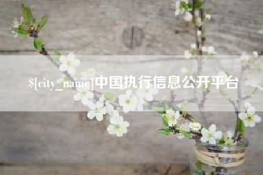 广元中国执行信息公开平台