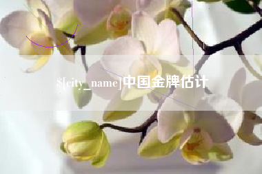 广元中国金牌估计