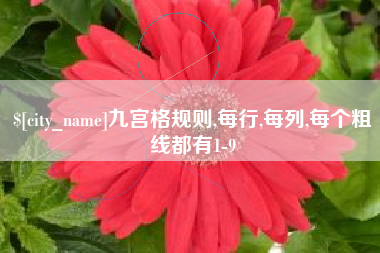 广元九宫格规则,每行,每列,每个粗线都有1-9
