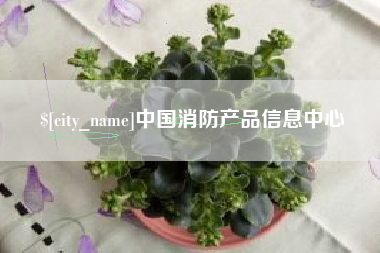广元中国消防产品信息中心